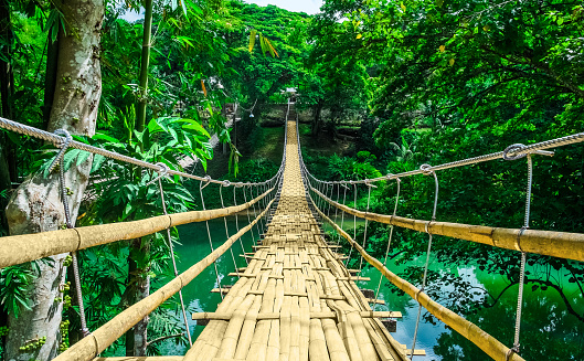 Bamboo pedestrian hanging bridge over river in tropical forest, Bohol, Philippines, Southeast Asia